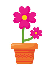 flower in pot plant isolated icon