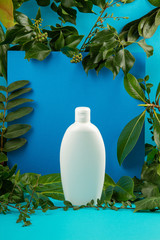 Background with green leaves and plants and bottle of cosmetic. Natural scin care concept. Copy space, mockup.