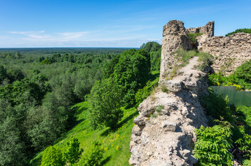 Fototapeta na wymiar Ruins of Koporye fortress