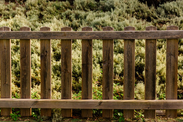 valla de madera delante de jardín verde parque. fondo  atrezzo estudio