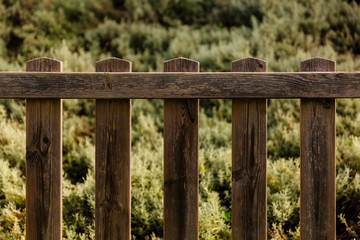 Naklejka premium valla de madera delante de jardín verde parque. fondo atrezzo estudio