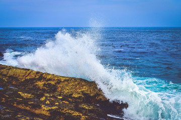 Fototapeta premium Ocean Waves