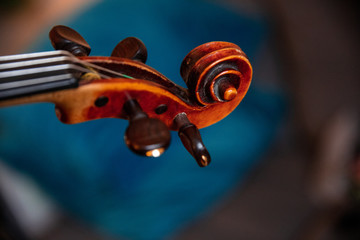 Violin volute