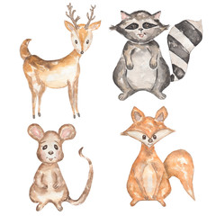 Watercolor hand drawn animals   set, isolated on white background.illustration of fox,mouse,roe deer and raccoon. woodland animal.