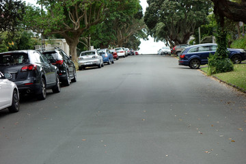 Stra&szlig;e mit parkenden Autos und B&auml;umen in devonport nahe auckland- neuseeland 