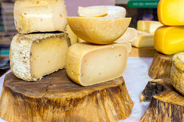 various types of tasty cheese on a background of wood