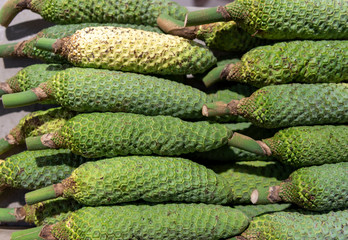  tropical fruit at an island market