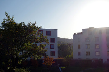 Fototapeta na wymiar abendstimmung in einem wohngebiet am stadtrand von freiburg 