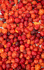  tropical fruit at an island market