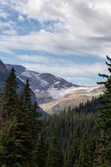 Glacier National Park, Montana, United States. Beautiful View of American Rocky Mountain Landscape during a Cloudy Summer Morning.