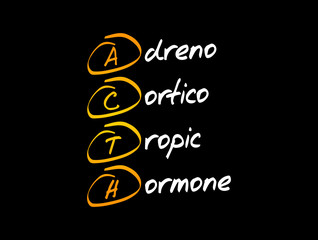 ACTH - Adrenocorticotropic hormone acronym, medical concept background