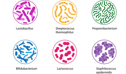 Good bacteria set. Microorganisms vector illustration.