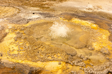 Heiße Quelle im Yellowstone Nationalpark