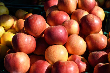 Group of fresh red organic ripe apples in display at a street food market in direct sunlight