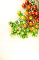 Colorful tomatoes an a white background