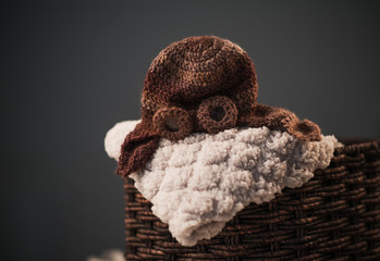 Empty fairytale crib with a soft plaid and knitted baby hat