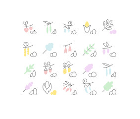 Set Vector Line Icons of Groats