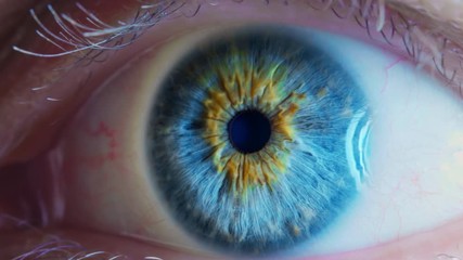 Human eye iris contracting. Extreme close up.