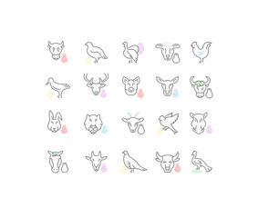 Fototapeta premium Set Vector Line Icons of Meat and Poultry.