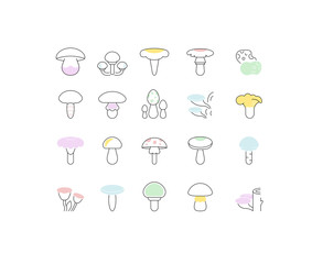 Set Vector Line Icons of Mushrooms.