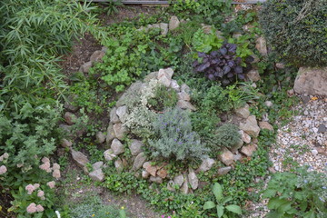 Permaculture element: Herb spiral in late summer/indian summer