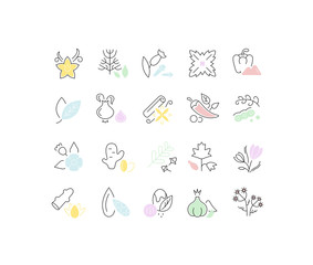 Set Vector Line Icons of Spices.