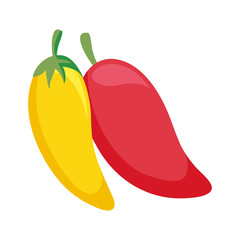 chili peppers mexican isolated icon