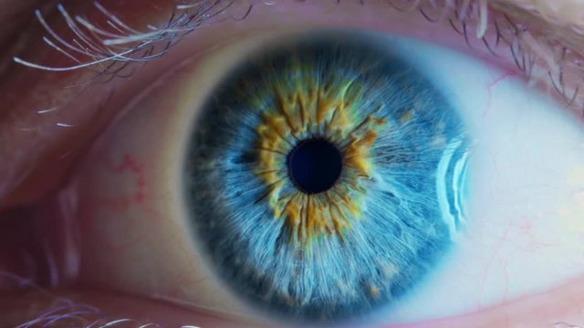 Human eye iris contracting. Extreme close up.