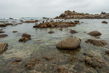 water, california, rocks
