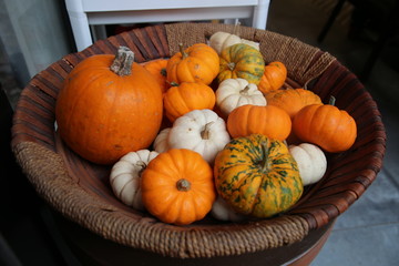 Colorful tiny pumpkins in wicker basket
