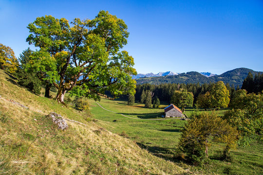Allg&auml;u - Herbst - Wandern - Tal - Gunzesried