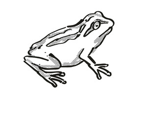 Whistling Tree Frog New Zealand Wildlife Cartoon Retro Drawing
