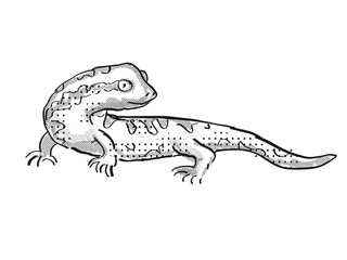 Tautuku gecko New Zealand Wildlife Cartoon Retro Drawing