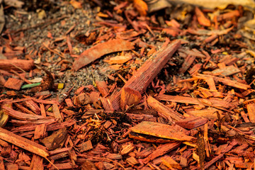 Orange wooden flinders on the ground