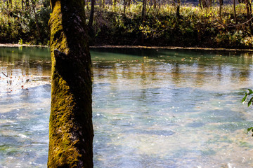 Cold spring water in Waynesville Missouri