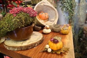 Decorative colorful pumpkins on wooden table.