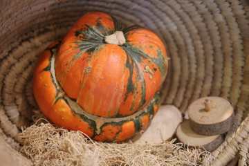 Decorative colorful pumpkins on wooden table.