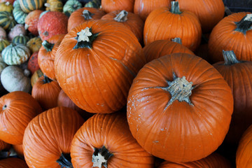 Pumpkins for the celebration of Halloween on the streets in the city in shops and holiday fairs._4