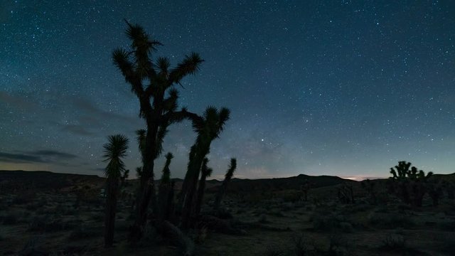 Astro Timelapse Tracking Shot of Milky Way thru Joshua Tree in Desert 