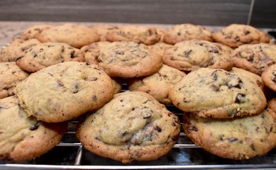 Homemade chocolate chip cookies fresh from oven