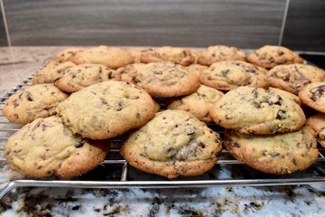 Homemade chocolate chip cookies fresh from oven