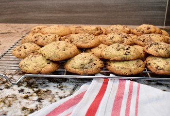 Homemade chocolate chip cookies fresh from oven