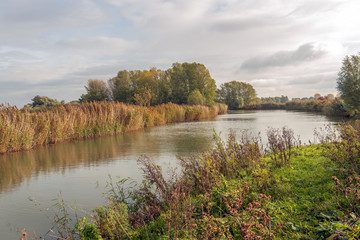 Curved creek in the autumn season