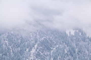mountain covered with snow in fog