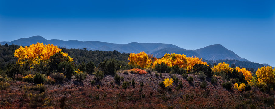 New Mexico Fall