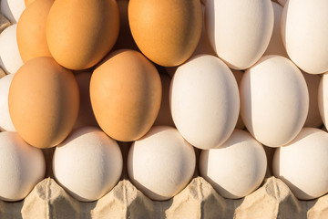 Brown and white chicken eggs in a tray are laid out on the counter in the market, store, supermarket