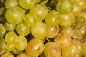 A bunch of yellow white sweet grapes in a shop window, store, supermarket