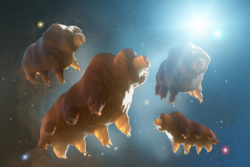 Tardigrada in space 3D render