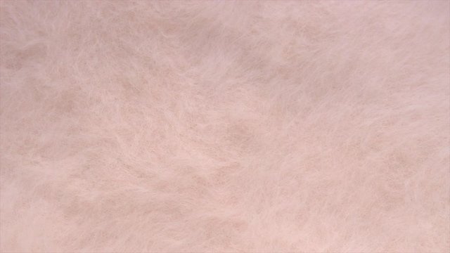 Natural cashmere soft and fluffy merino wool. Rotates. 