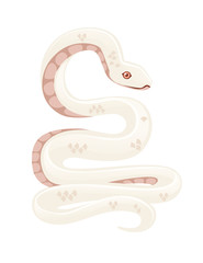 White albino snake cartoon animal design flat vector illustration isolated on white background